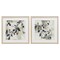 Stupell Industries Mediterranean Green Olives 2pc Framed Print Under Glass Set, design by Mona Grace